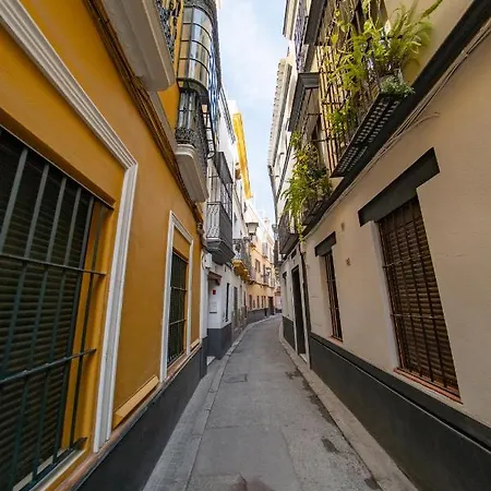 Mi Retiro Sevillano 公寓